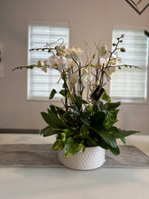 Load image into Gallery viewer, Orchids Arrangements 6