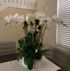 Orchids Arrangements 6