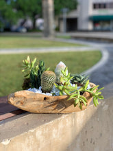 Load image into Gallery viewer, Succulent Garden in a Wood Pot Rustic