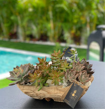 Load image into Gallery viewer, Succulent Garden in a Wood Pot Rustic