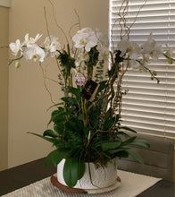 Load image into Gallery viewer, Orchids Arrangements 6