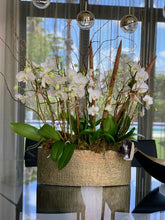 Load image into Gallery viewer, Orchids Arrangement