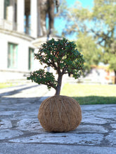 Load image into Gallery viewer, Jade, Dwarf  Kokedama (Portulacaria afra)