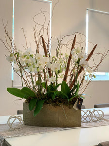 Orchids Arrangement